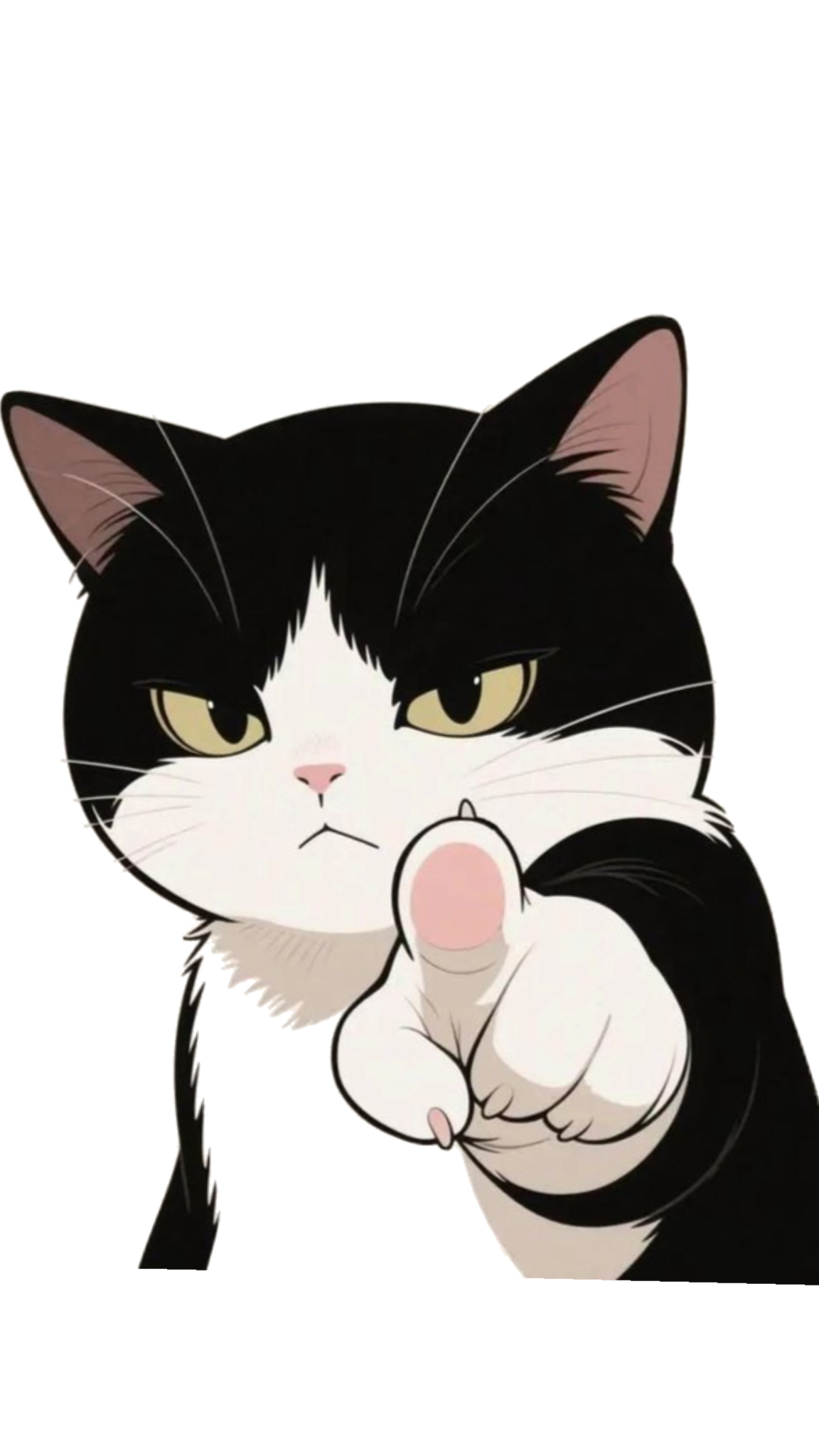 A cat pointing toward the collection, as if recommending a favorite