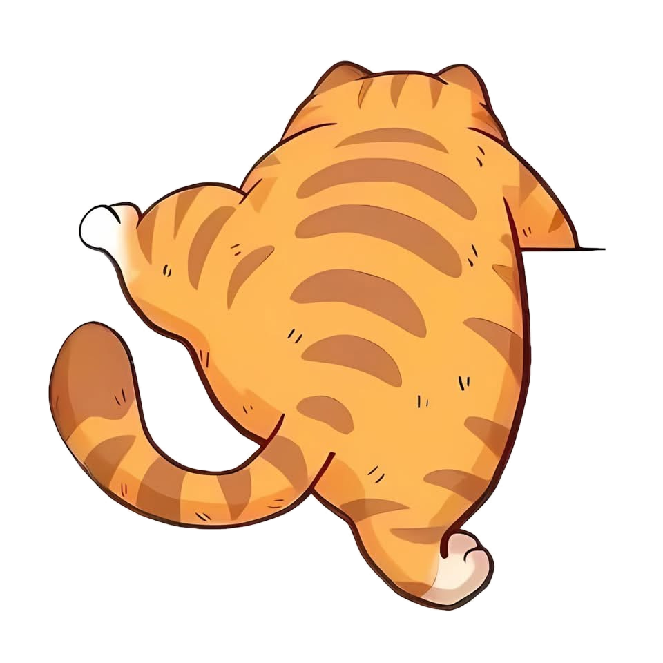 A tabby cat walking across the divider between sections